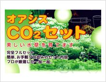 オアシス　CO2セット