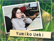 植木 由美子