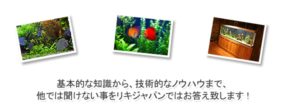 基本的な知識から、技術的なノウハウまで、他では聞けない事をリキジャパンではお答え致します。